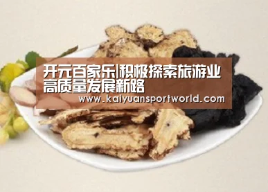 开元百家乐|积极探索旅游业高质量发展新路(图1) 开元电竞